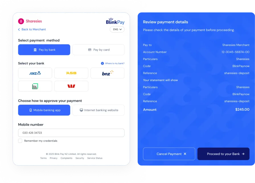 BlinkPay accepting payments dashboard interface showing payment methods and bank options